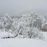 Nyaraló Tromtind *