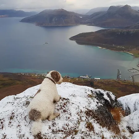 Сasa de vacaciones Tromtind *